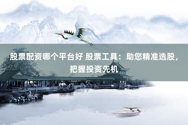股票配资哪个平台好 股票工具：助您精准选股，把握投资先机