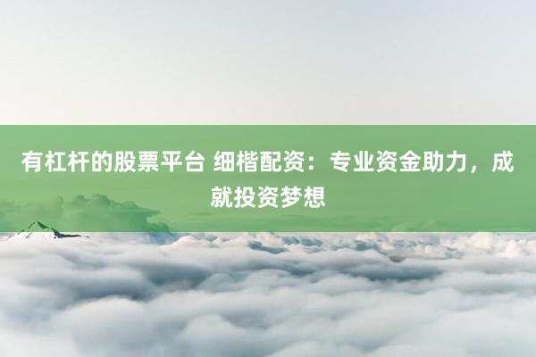有杠杆的股票平台 细楷配资：专业资金助力，成就投资梦想