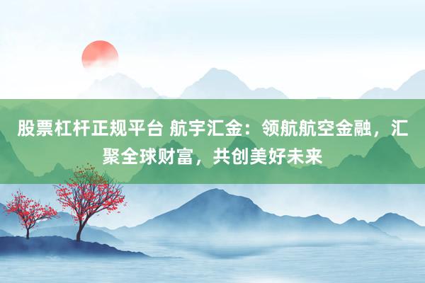 股票杠杆正规平台 航宇汇金：领航航空金融，汇聚全球财富，共创美好未来