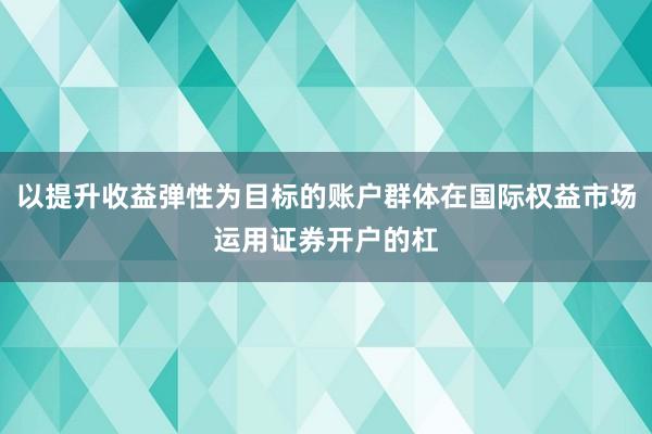 以提升收益弹性为目标的账户群体在国际权益市场运用证券开户的杠