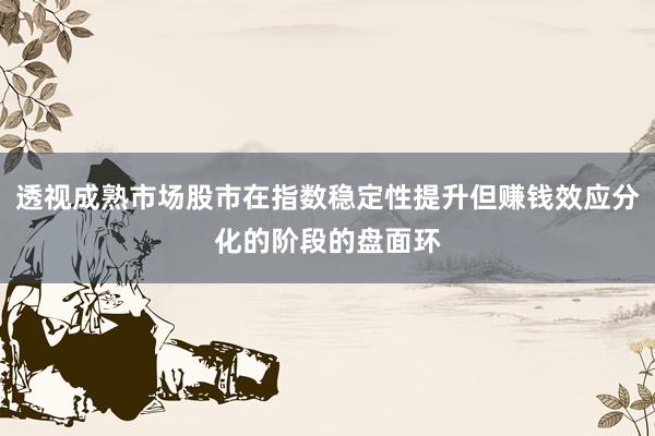 透视成熟市场股市在指数稳定性提升但赚钱效应分化的阶段的盘面环