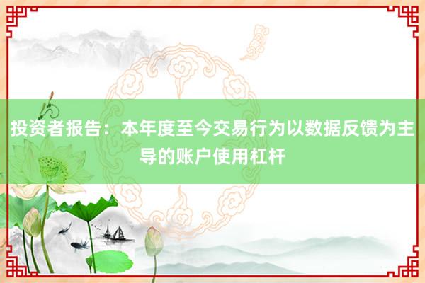 投资者报告：本年度至今交易行为以数据反馈为主导的账户使用杠杆