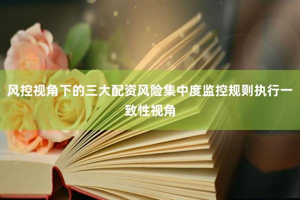 风控视角下的三大配资风险集中度监控规则执行一致性视角